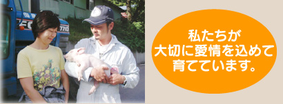 山陰養豚