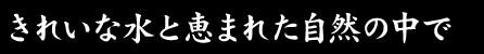 きれいな水と恵まれた自然の中で